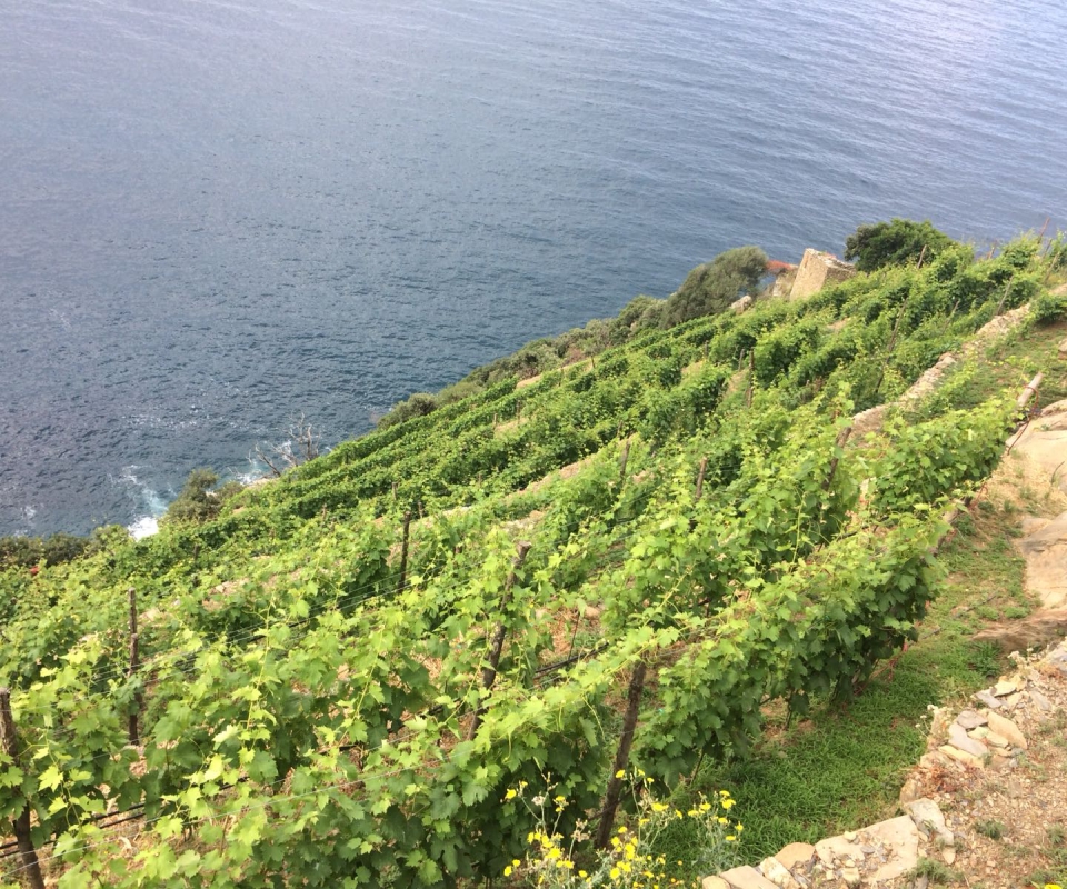 Cinque_Terre